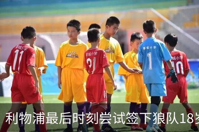 利物浦最后时刻尝试签下狼队18岁中场马内未果