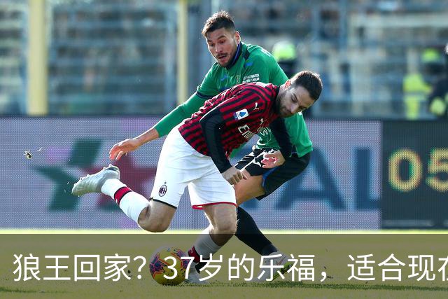 狼王回家？37岁的乐福，适合现在的森林狼吗？